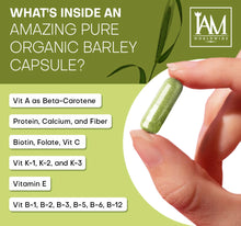 Load image into Gallery viewer, Amazing Pure Organic Barley Capsules
