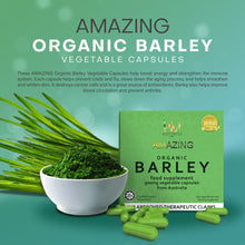 Load image into Gallery viewer, Amazing Pure Organic Barley Capsules